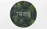 TRIBE (41265)