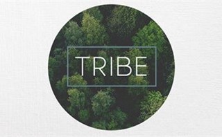 TRIBE