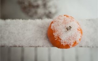 Autumn snow