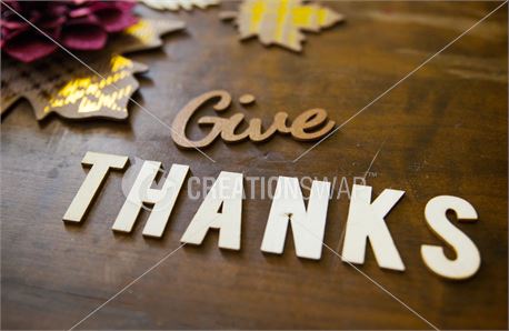 Thanks 2 (43630)
