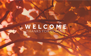 Thanksgiving Trees Welcome