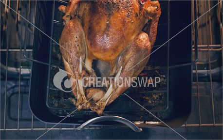 Thanksgiving Dinner 6 (44321)