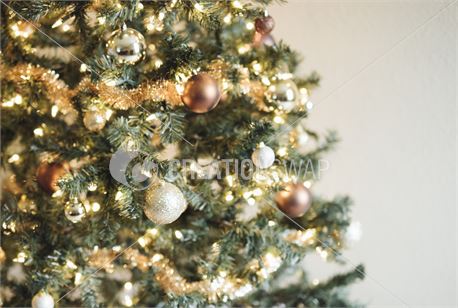 Christmas Pack 02 (45671)
