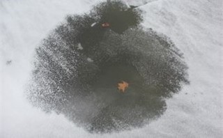 Frozen lake with leaf