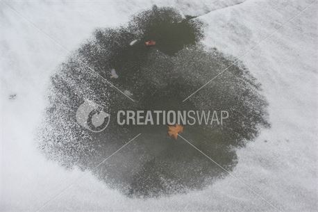Frozen lake with leaf (50477)