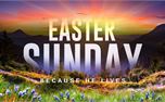 Easter Sunday Pack (50872)