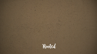 Rooted Motion