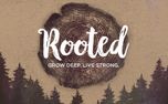 Rooted Title Motion (51539)