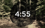 Rooted Countdown (51544)