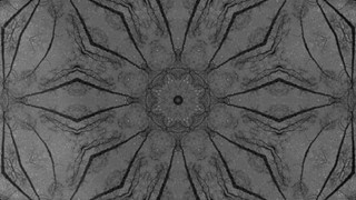 Monokaleida 1 Motion Loop
