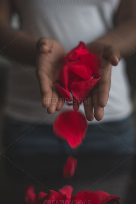 Media - Women Pouring Rose Petals | CreationSwap