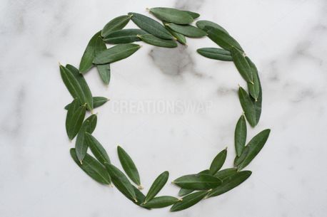 Media - Green leaf Background | CreationSwap