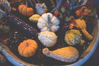 Fall Decorations