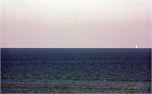 Boat (6542)