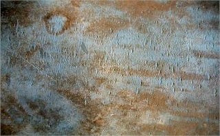 Texture