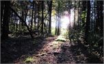 path1 (6821)