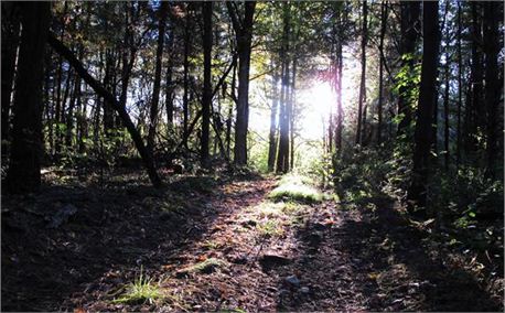 path1 (6821)