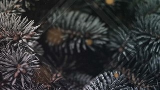 Christmas Glow Three