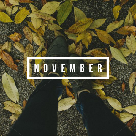 November (60343)