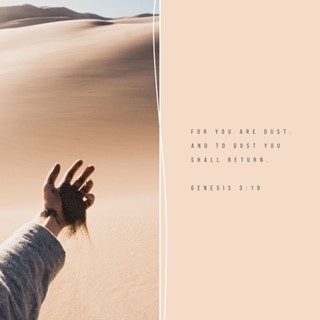 Genesis 3:19