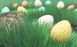 Easter Eggs in Meadow (64509)