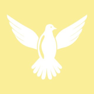 White dove icon