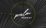 Palm Sunday (65503)