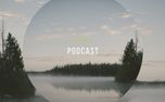Podcast (68733)