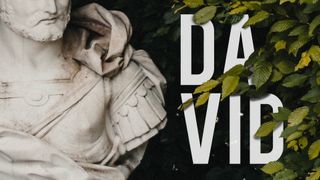 David Service Pack