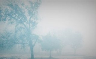 Fog
