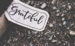 Grateful (70378)