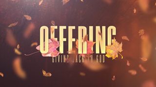 Thankful Fall (Offering)