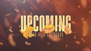 Thankful Fall (Offering)