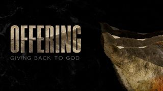 Autumn Is Falling (Offering)