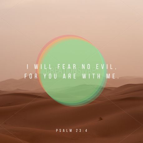 Fear no evil (73362)