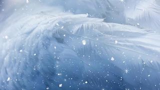 Christmas Angel Wing