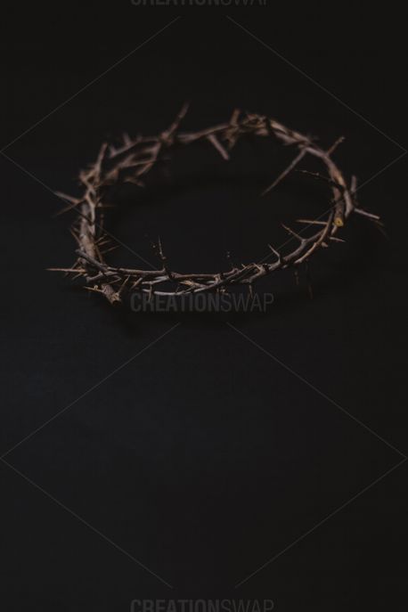 Crown of Thorns (76689)