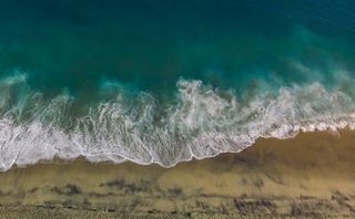 Ocean Beach