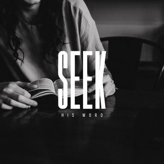 Seek His word