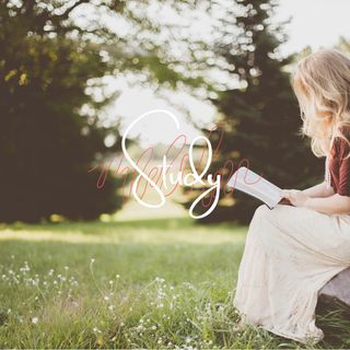 Bible Study