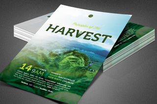 Principles of Harvest Flyer