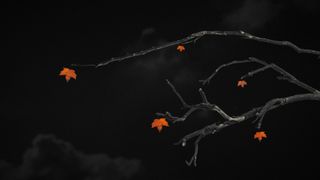 Fresh Fall Four