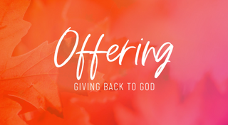 Autumn Leaves Motion Title