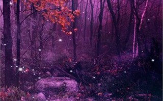 Mystic Forest Backgrounds