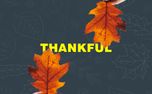 Thankful  (91665)