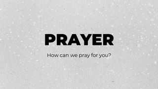 Prayer Snow