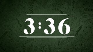 Forest Botanical : Countdown