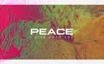 Distort Peace Slide (97073)