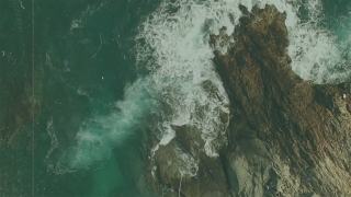 Vintage Ocean Reel // BG Loop