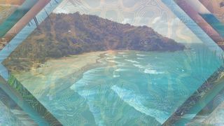 Nature Motions